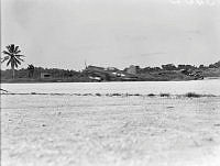 PR3402.JPG