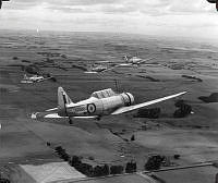 ALB971531336.jpg