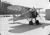 ALB240264022.jpg