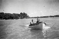 ALB2604117073.jpg
