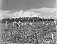 PR5025.jpg