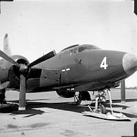 ALB971531125.jpg