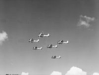 WhG3238-52_1.JPG