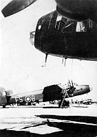 ALB1917854a005.jpg