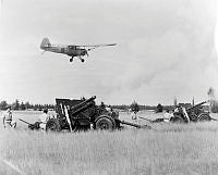 WgG8126-58.jpg