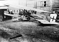 ALB8319526592.jpg