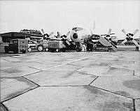 WhG9117-65.jpg