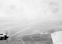 ALB2511328004.jpg