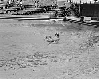 DM168-52.jpg