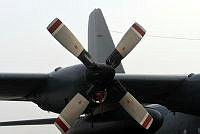 MUS25037.jpg