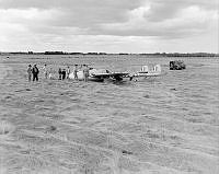 OhG9699-60.JPG
