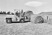 WgG492-7a-79.JPG