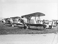 MUS001304.jpg