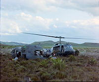 CrNZ3813II6.JPG