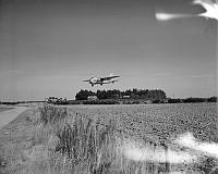 DM196-52.jpg