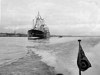ALB2011338019.jpg