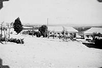 ALB191909139.JPG