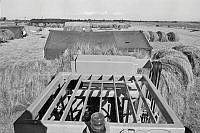 WgG492-8a-79.JPG
