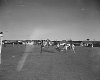 DM261-52.jpg