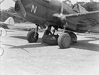 PR2693.JPG