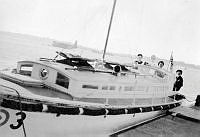 ALB2604117037.jpg