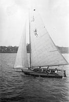 ALB2604117053.jpg