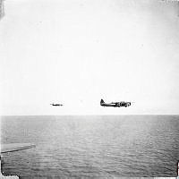 ALB1919010074.JPG