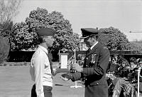 OhG3088-81.jpg