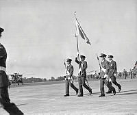 WhG553-29-81.jpg