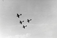 2012-405.180_1_1.jpg