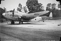 ALB971531280.jpg