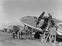PR3107_1.JPG