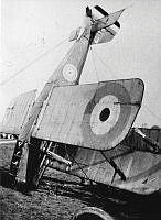 ALB8319526574.jpg