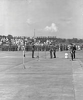 WhG553-16-81.jpg