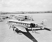 WhG3209-52_1.JPG