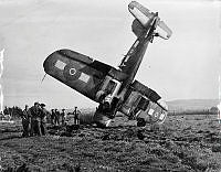 ArdG134-44.jpg