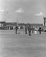 WhG553-15-81.jpg