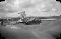 ALB1617713012.jpg
