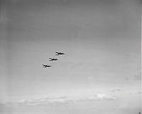 DM202-52.jpg