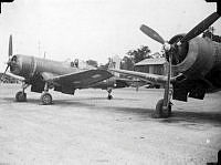 ALB971531260.jpg