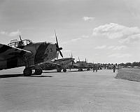 DM193-52.jpg