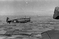 MUS1001834.jpg