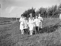 WhG2116-44_1.JPG