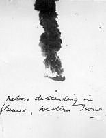 ALB920382a074.jpg