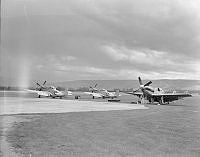 DM83-51.jpg