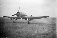 ALB10344119001.jpg