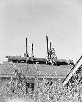 LbG260-52_1.JPG