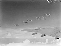 PR3251.JPG