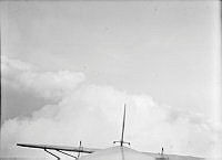 ALB8319526373.jpg