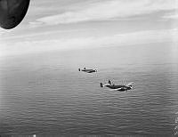 PR4933.jpg
